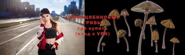 бошки Абдулино