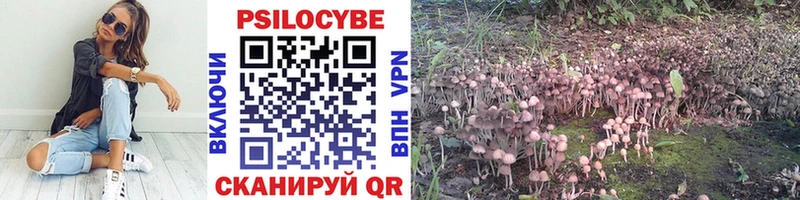 Псилоцибиновые грибы мицелий  Красавино 